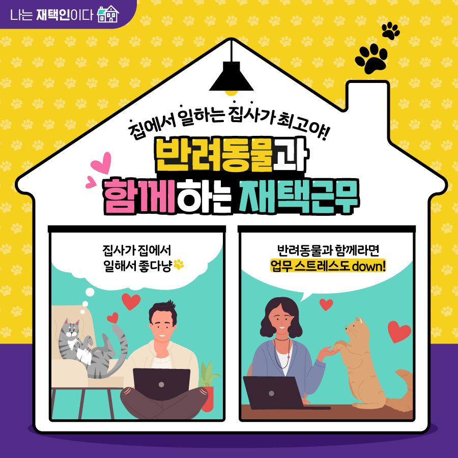 [한컷] 집에서 일하는 집사가 최고야! 반려동물과 함께하는 재택근무